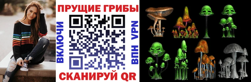 Псилоцибиновые грибы Psilocybe где продают наркотики Арсеньев