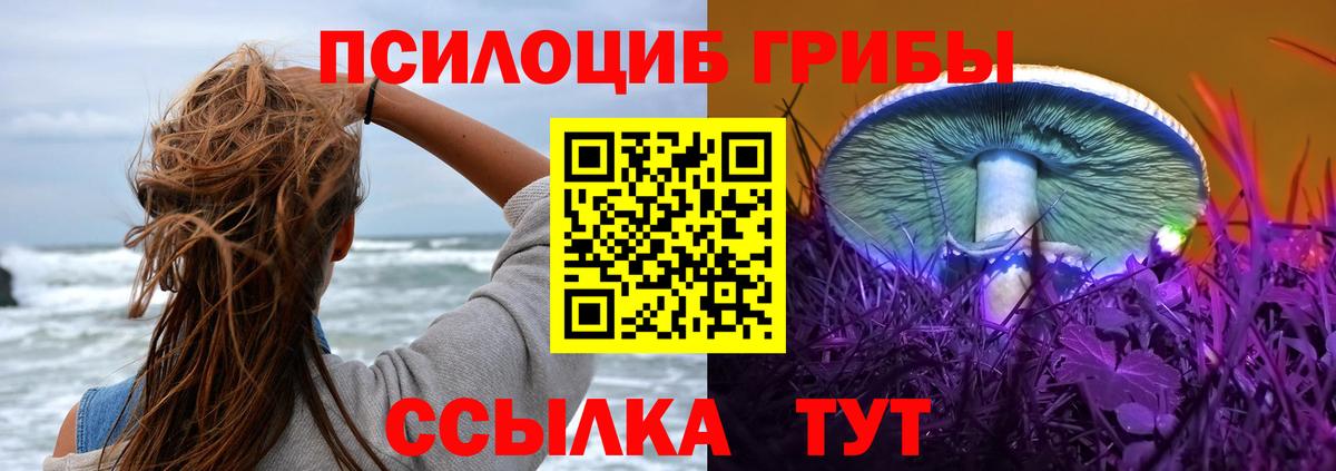 Галлюциногенные грибы прущие грибы  Вход с VPN  Арсеньев 